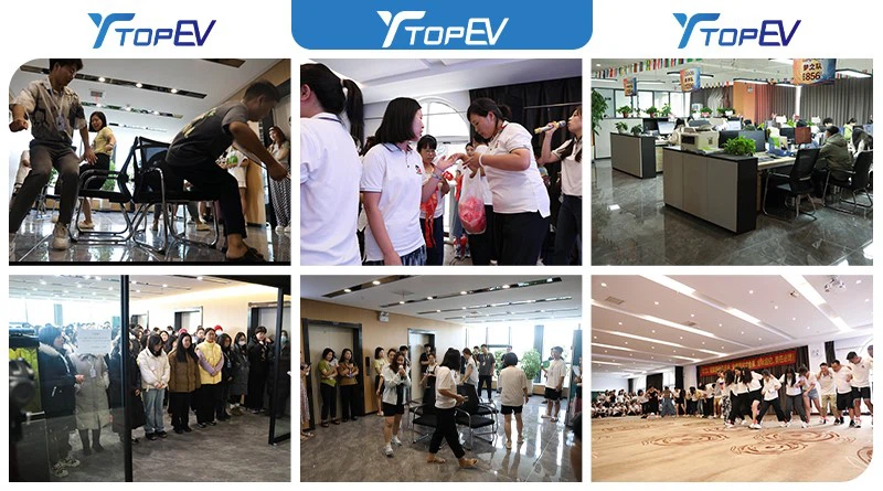 top ev company top ev company